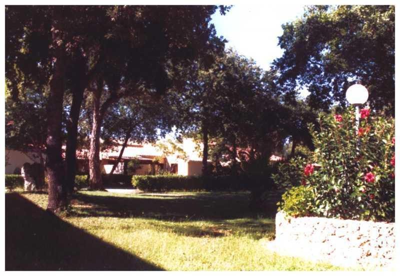 Domaine De L'Avidanella Apartment Santa Lucia di Moriani Bagian luar foto