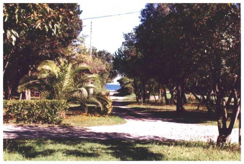 Domaine De L'Avidanella Apartment Santa Lucia di Moriani Bagian luar foto