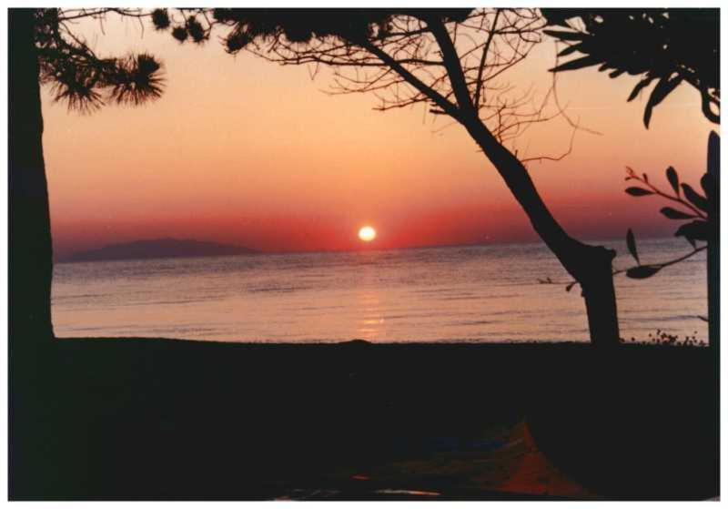 Domaine De L'Avidanella Apartment Santa Lucia di Moriani Bagian luar foto