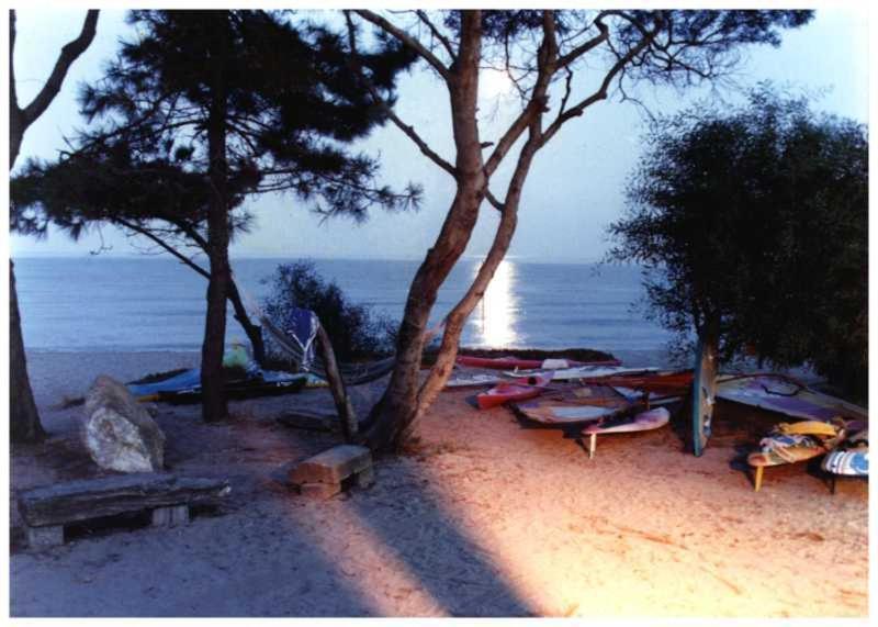 Domaine De L'Avidanella Apartment Santa Lucia di Moriani Bagian luar foto