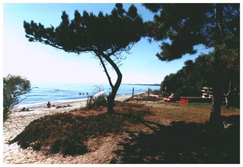 Domaine De L'Avidanella Apartment Santa Lucia di Moriani Bagian luar foto