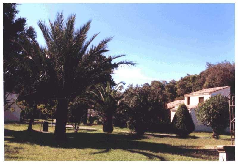Domaine De L'Avidanella Apartment Santa Lucia di Moriani Bagian luar foto