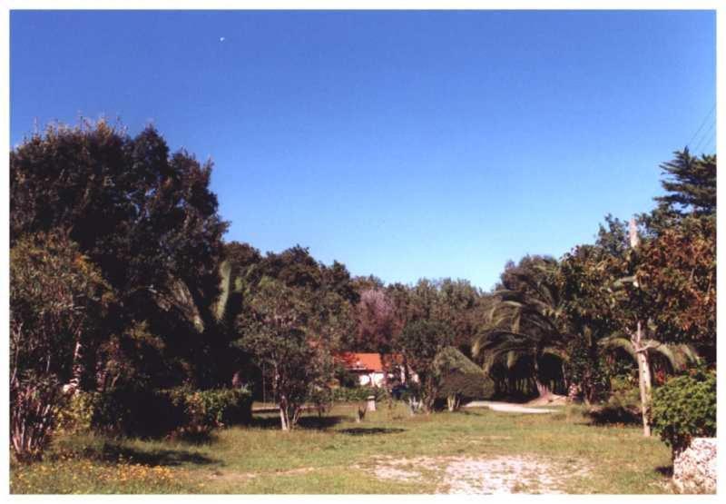 Domaine De L'Avidanella Apartment Santa Lucia di Moriani Bagian luar foto