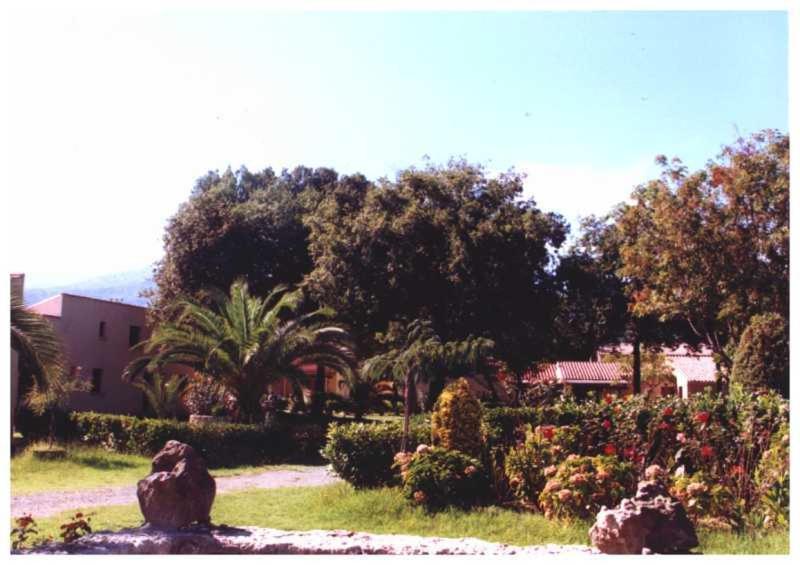 Domaine De L'Avidanella Apartment Santa Lucia di Moriani Bagian luar foto