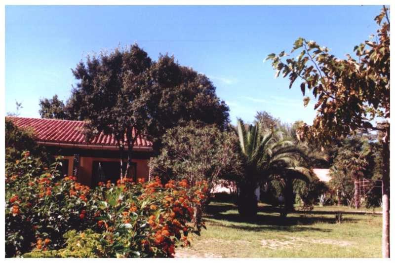 Domaine De L'Avidanella Apartment Santa Lucia di Moriani Bagian luar foto