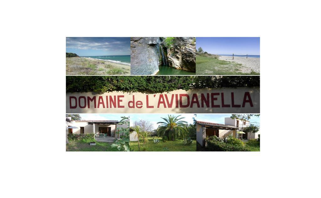 Domaine De L'Avidanella Apartment Santa Lucia di Moriani Bagian luar foto