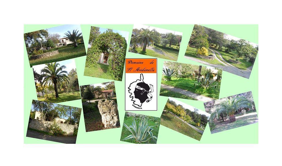Domaine De L'Avidanella Apartment Santa Lucia di Moriani Bagian luar foto